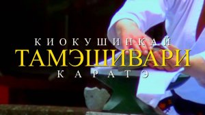 Тамэшивари Киокушинкай Каратэ