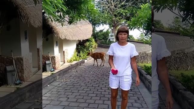 Таиланд. Лучшая актерская игра:) смотреть онлайн