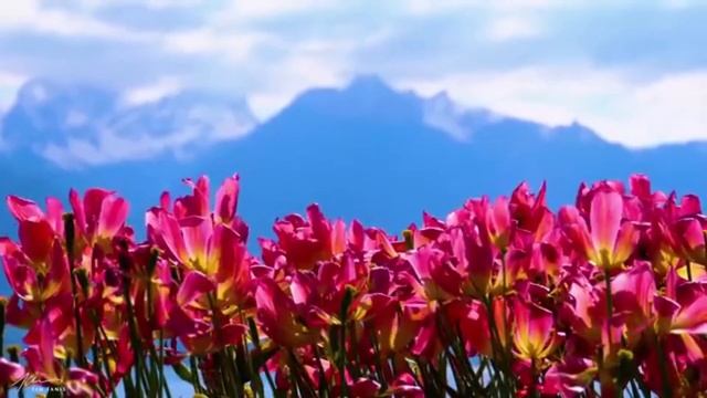 Italy 4K 🇮🇹 Relaxing Nature Films With Calming Piano Relaxation Meditation Music