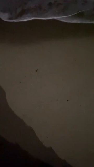 Ночное Море смотреть онлайн