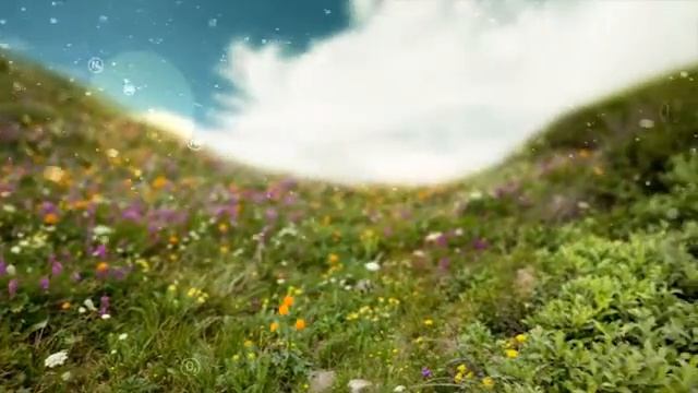 О пенополистироле