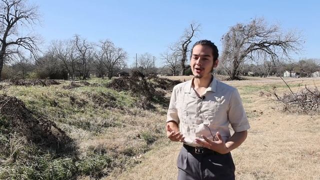 Padre Park Food Forest Project Aims to Connect San Antonio Urban Residents With Nature смотреть онлайн