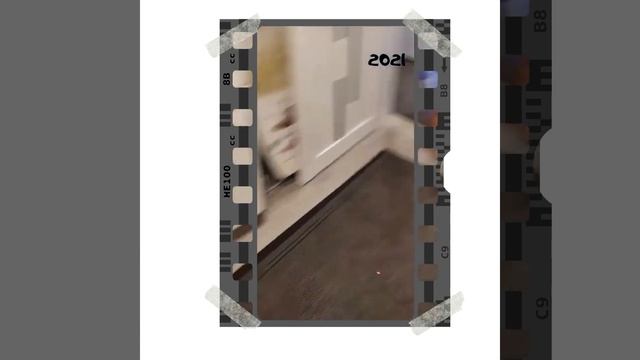 Тёплая жилетка "Happy Dog City" смотреть онлайн