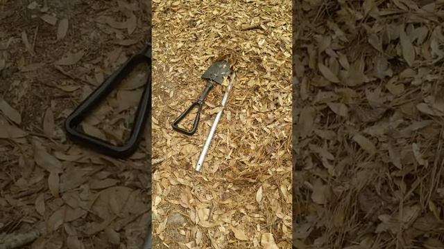 Copperhead fight! I won thank God! he was trying to kill me! Beetles adventures смотреть онлайн