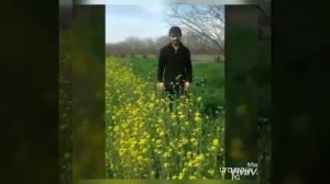 «Мехман Рамазанов ( Дагестан) цахурская песня»)