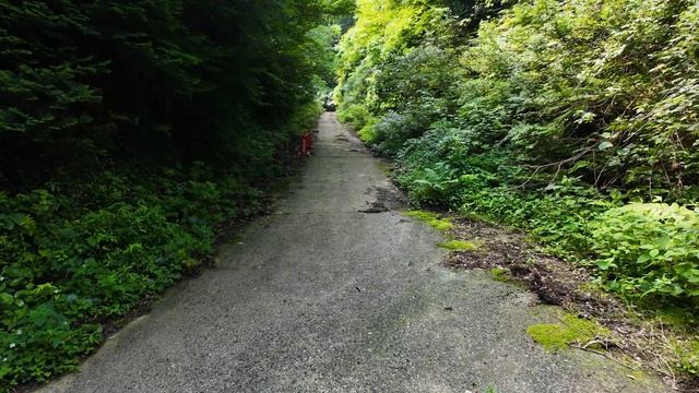 [A must-visit hidden place and spectacular views] I got lost on my first mountain climb!! смотреть онлайн