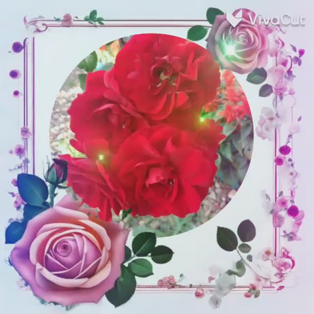 Сднем рождения смотреть онлайн