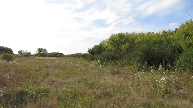 Исчезнувший посёлок Первомайский, Екатериновский район.