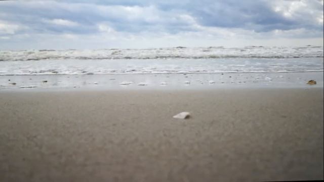 Summer Vlog 2018  🌻Di Arpe Celtiche E Trabocchi | Made With Movavi Serena