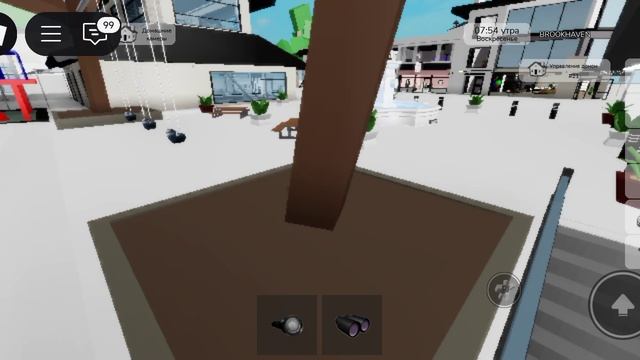 играем в камуфляжные прятки. в Брук хевене.