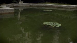 Севастопольские рассказы 6 серия. «Русская Ривьера»