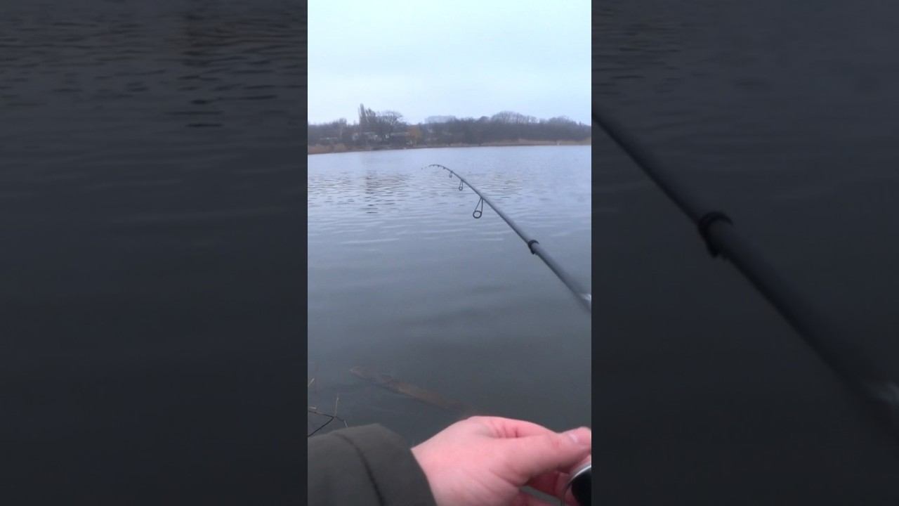 Окунь на отводной поводок #рыбалка #джиг #спиннинг #shorts смотреть онлайн