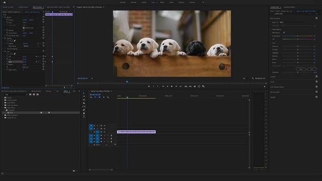 How to crop video in Premiere Pro | EASY WAY