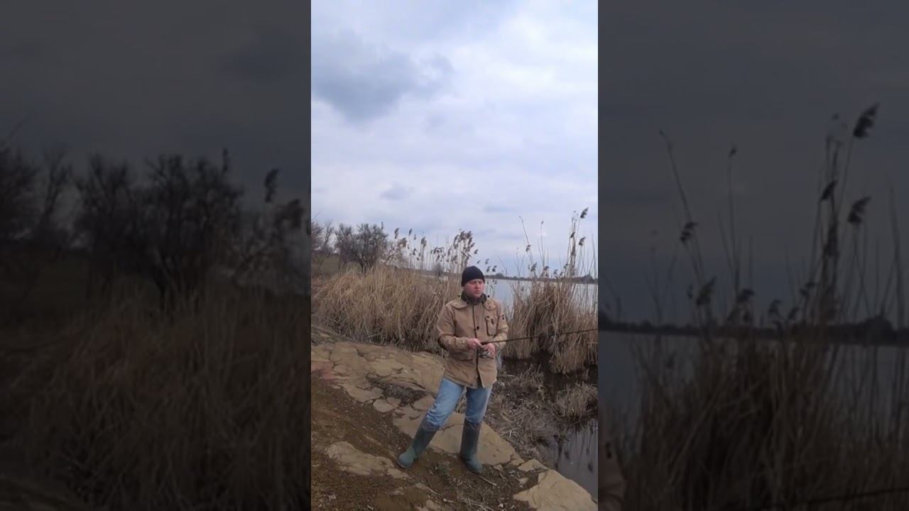 Лучшая проводка для блесны Атом #рыбалка #спиннинг #весна #щука #блесна #shorts смотреть онлайн
