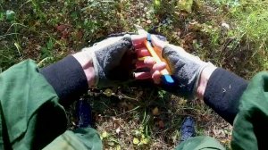 Поездка за грибами 2023 (цензурная версия)