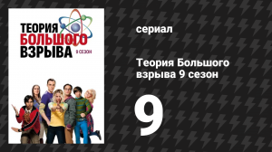 Теория Большого взрыва 9 сезон 9 серия «Платоническая переустановка» (сериал, 2007-2019)