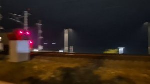 все ласточки которые я снял