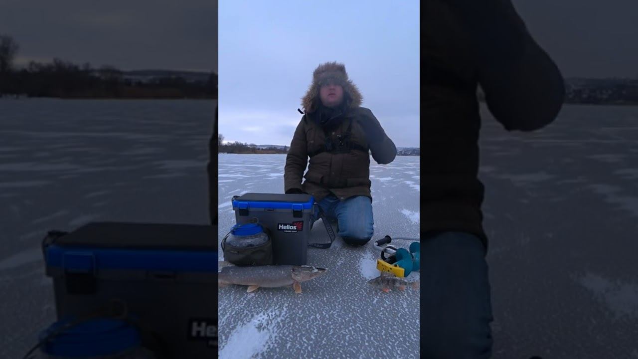 Полное видео с рыбалки уже на канале #рыбалка #щуканажерлицы #зимняяловлярыбы #shorts смотреть онлайн