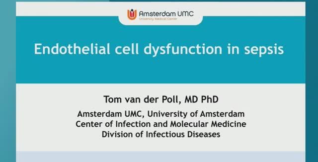 ENDOTHELIAL PROTECTION  ISICEM-44 (2025)