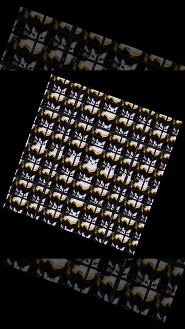 кот-не кот смотреть онлайн