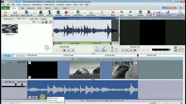 Best Video Editor | Text On Video | Change Audio | How To Use Videopad In Urdu/hindi