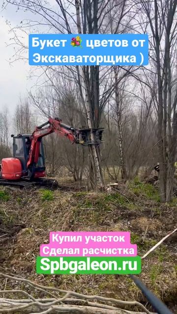 МИНИ ЭКСКАВАТОР БУКЕТ ЦВЕТОВ НА ДАЧЕ #дом #дача #сад #строительство #экскаватор #kubota #jcb #дрена смотреть онлайн