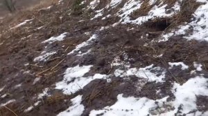 КоП под декабрьским дождём!!!