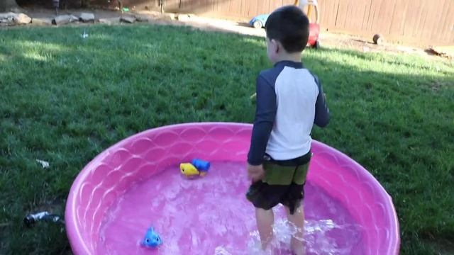 Kids Swimming With Cute Puppy And Baby Shark TOYS In Swimming POOL For Kids! Caleb Pretend Play