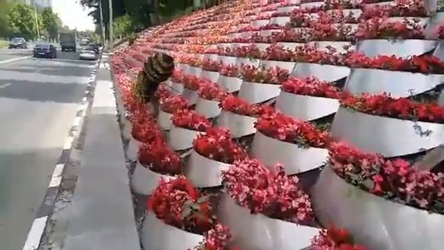 Харьковские сады Семирамиды на улице Новгородской_видео Город Х_17_06_2020 смотреть онлайн