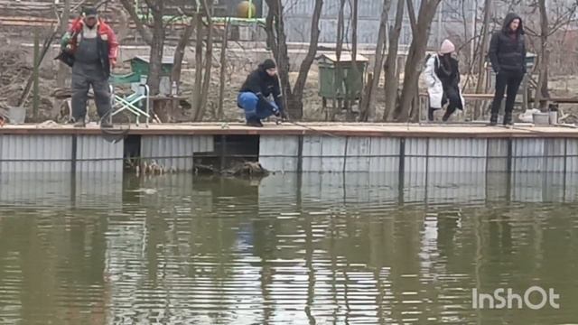 Здесь рыба есть смотреть онлайн