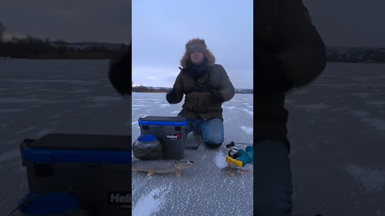 Зимняя рыбалка на щуку и окуня #рыбалка #щуканажерлицы #зимняяловлярыбы #окунь #балансир #shorts смотреть онлайн