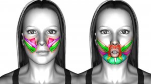 Уменьшите объем Лица и избавьтесь от двойного Подбородка