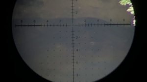 Полёт пули из воздушки