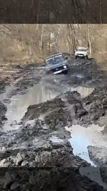1000080972.mp4 смотреть онлайн