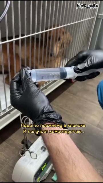 Долг за удаление опухоли - не оплачен 💔 смотреть онлайн
