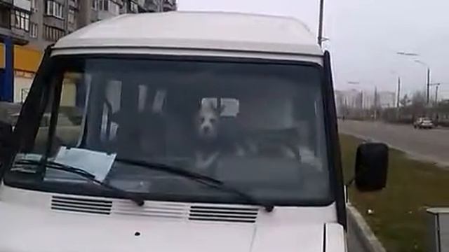 Сигнализация смотреть онлайн