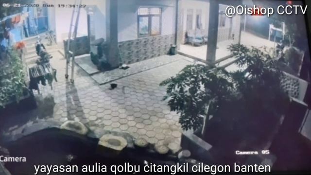 Pasang CCTV di citangkil cilegon смотреть онлайн