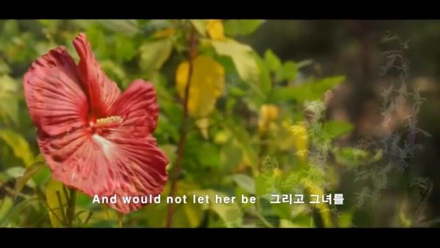 A Whiter Shade Of Pale - ANNIE RENNOX 더 창백해진 얼굴 1967. смотреть онлайн