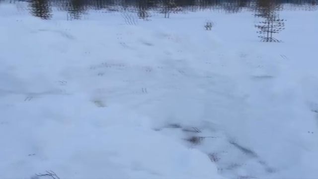 Строим иглу из снега! смотреть онлайн