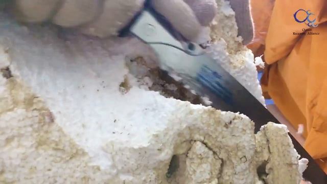 Styrofoam Recycling in Hong Kong смотреть онлайн