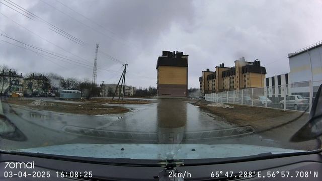 Собака бросается под колеса
