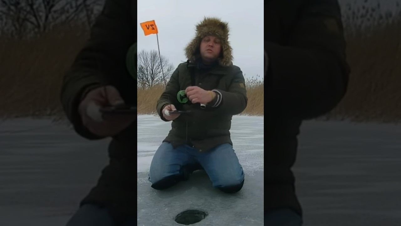 Установка зимней жерлицы #рыбалка #щуканажерлицы #зимняяловлярыбы #shorts смотреть онлайн
