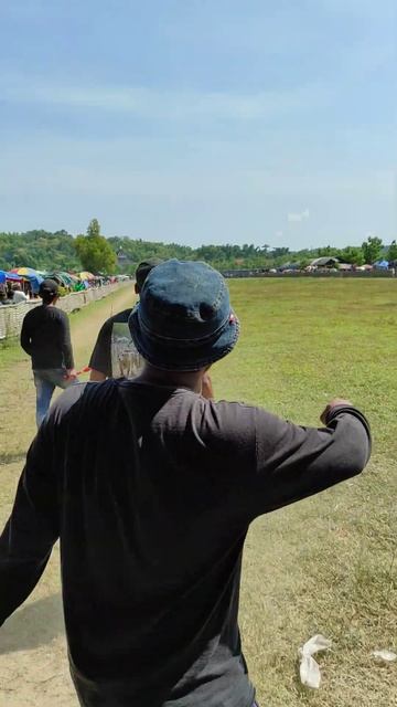 Karapan Sapi Tim Luna Maya Boss. смотреть онлайн