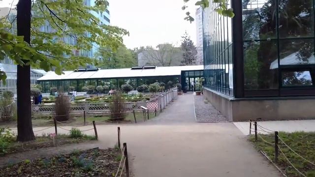 Прогулка по Аптекарскому саду МГУ Ломоносова. смотреть онлайн