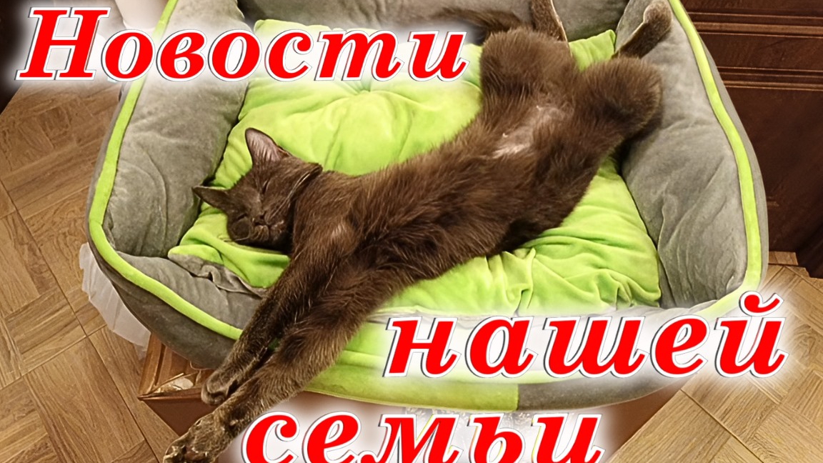 Новости нашей семьи. смотреть онлайн