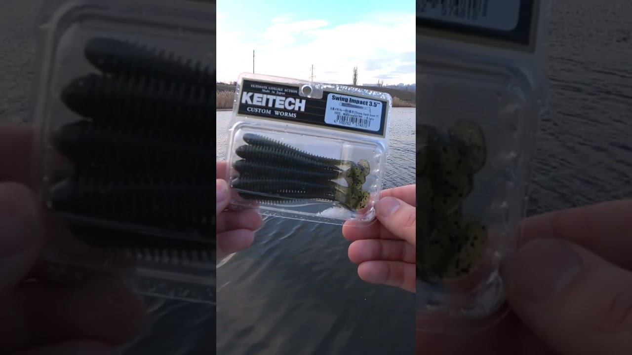 Стоит ли Keitech своих денег? #рыбалка #fishing #джиг #спиннинг #shorts смотреть онлайн