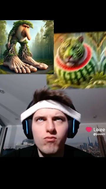 Это что-то сумасшедшее