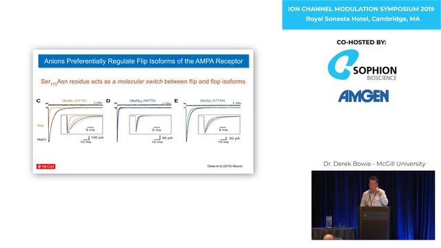 Nanoscale Dynamics of the AMPA Receptor Signalling Complex смотреть онлайн