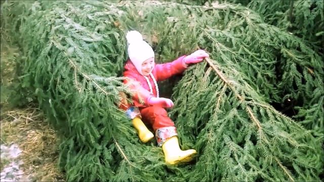 Зелёные лабутены =)) Дочь - кинолог =)) смотреть онлайн