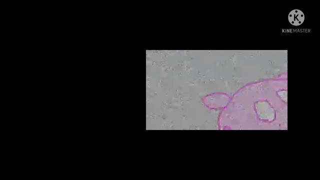 Friday night funkin 🌸|| VS Corrupted Peppa pig || { Gacha neon 🍂} || { FNF MOD } || Test ☁️ смотреть онлайн